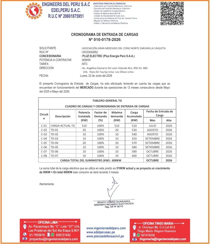 Cronogrma de entrada de cargas para PLUZ ELECTRIC